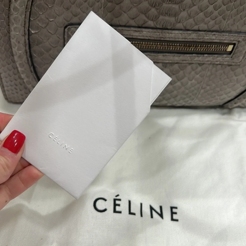 Celine Bag, Size Medium, Python Skin - Picture 6 of 13